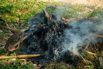 Obraz premium A large pile of burning branches and leaves with smoke.