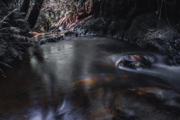 waterfall in forest and river