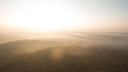 Autumn forest aerial view at sunset.