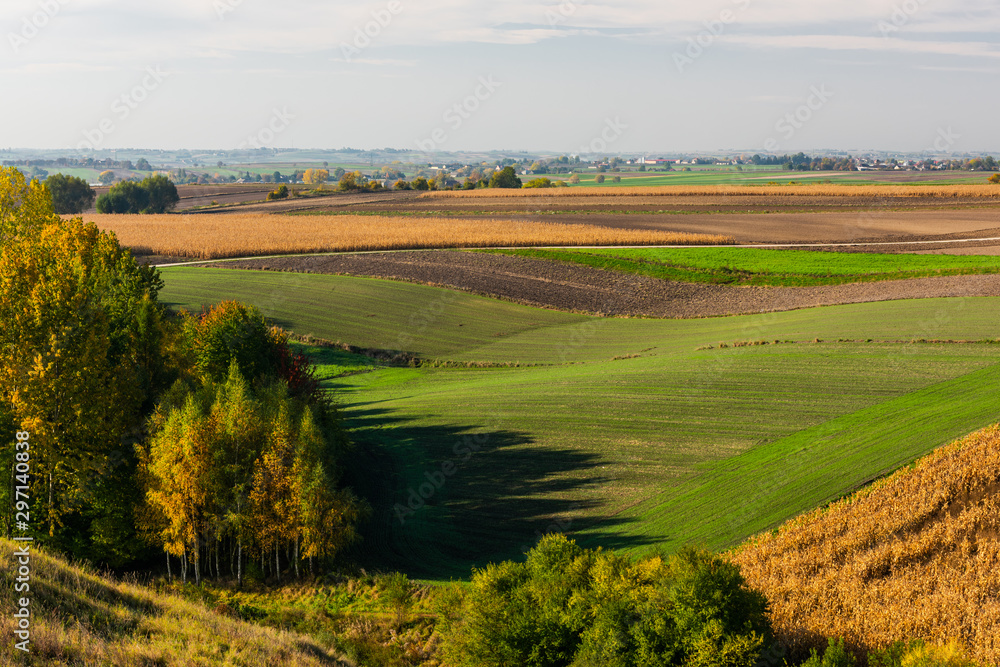 Wall mural rolling hills in polish coutryside with farm fields at fall season