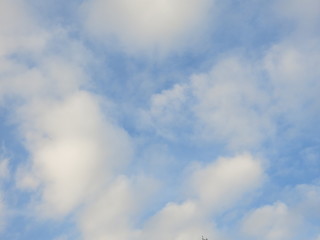 blue sky with white clouds