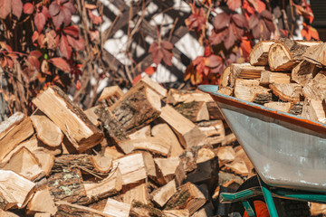Preparation for the heating season. A cart filled with logs stands next to a pile of firewood. Close up