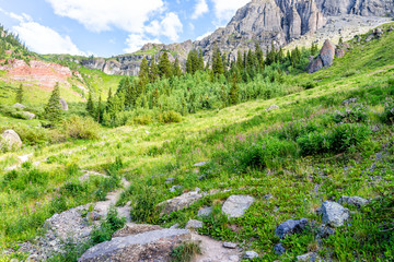 View of colorful green alpine rocky meadow with rocks and wildflowers on trail to Ice lake near...