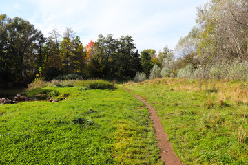 Outono amarelo alaranjado vermelho verde marrom e prata, rios, pedras, folhas, arvores