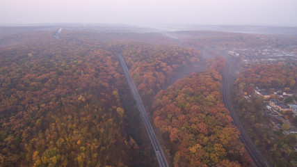 The road among the autumn forest at sunset.