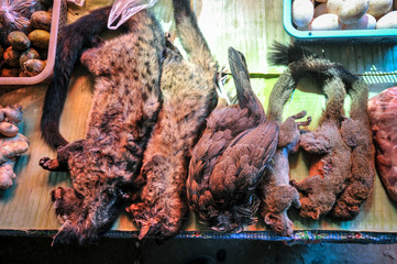 Wild animals on a local market in Laos 