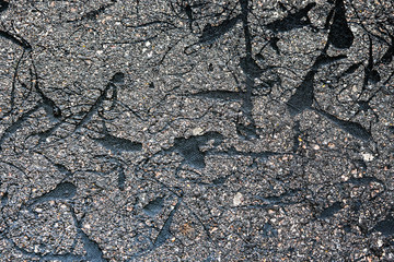 Background image. Streaks of black tar on the dark gray asphalt. Copy space.