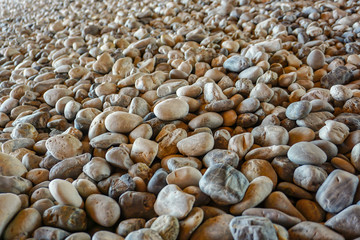 River pebbles in the garden