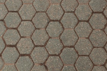 Paving slabs are laid out in the form of bee honeycombs.
