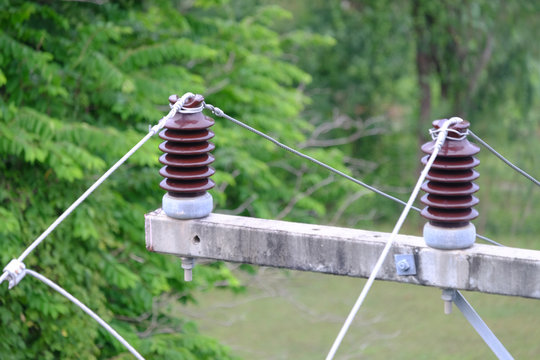 Electrical insulators installed on the top of cement pole in a green garden