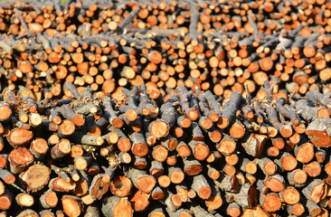 Oak Firewood