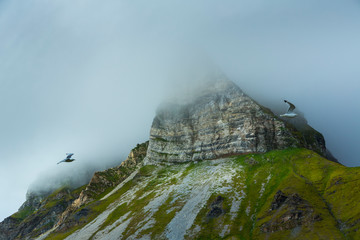 Svalbard Islands, Artic Ocean, Norway, Europe