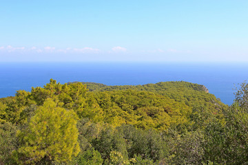 Fototapeta na wymiar sea view from a high cliff overgrown with forest