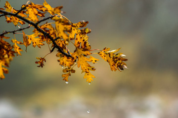 Allphotokz Medeu 20071021 9318 1DM3