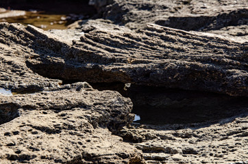 Background, natural stone, rock on the seashore.