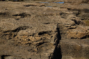 Background, natural stone, rock on the seashore.