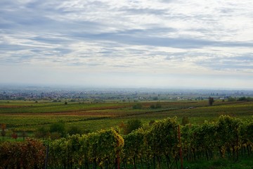 Magische Landschaft der Südlichen Weinstrasse