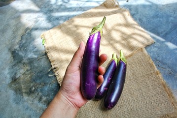 antioxidant, balance, blood, bottle, brain, bran, capsule, care, concept, containing, cure, datary,...