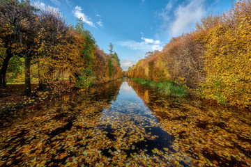 Gdansk, Poland, autumn - fragment of the Oliwa Park in the Gdansk Oliwa district