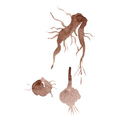 Medical pharmacy symbol. Watercolor background illustration set. Isolated pharmacy illustration element.