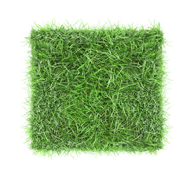 Square Piece Of Green Grass Field Top View Isolated.