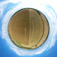 Aerial drone 360 degree panoramic view on damaged wheat field after wind storm, rural landscape