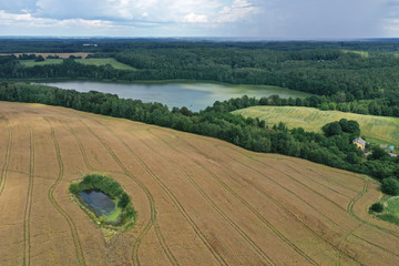 Aerial drone perspective view on beautiful rural landscape with yellow wheat field, green corn fields, green meadows, forest, lake and village.