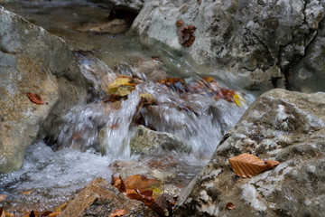 Kleiner Wasserfall mit Felsen und Herbstlaub