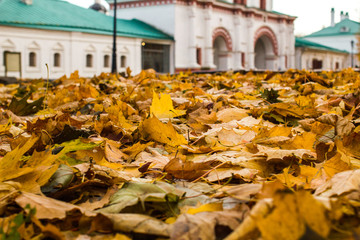 autumn Sunny day view of the city of Moscow in Kolomenskoye Park