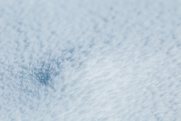 Scenic winter landscape with snowy fir trees. Winter postcard.