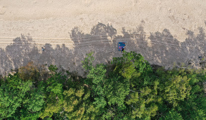 Aerial drone top down view on clean sand beach, green deciduous forest and resting people on blanked in tree shadows hiding from sunlight