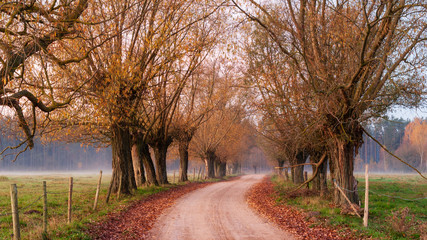 Jesień na Podlasiu, Polska © podlaski49