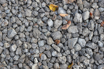 Fallen autumn brown leaves on gray gravel