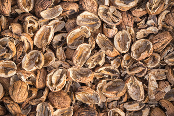 Broken walnut shells. Pieces of nutshells. Nutshell texture.