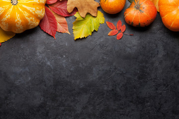 Autumn background with colorful leaves