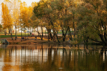 Sunny autumn day in the park with trees and yellow fallen leaves. People are walking in the park.
