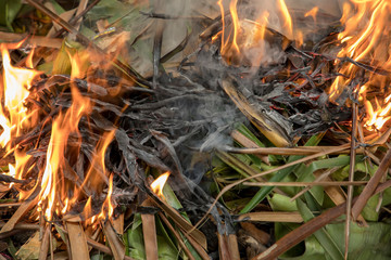 burn fire green and dry coconut tree leaf in garden, Closeup