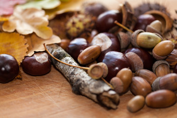  Autumn harvest on wooden background.