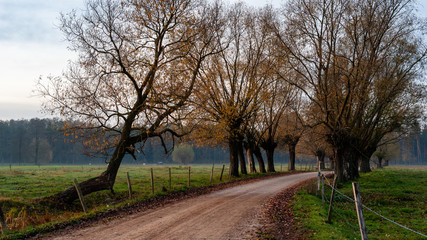 Jesień na Podlasiu, Polska © podlaski49