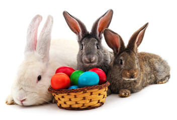 Easter bunnies with colored eggs.