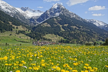Fototapeta premium Allgäuer Landschaft