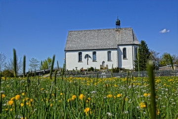 Allgäuer Landschaft