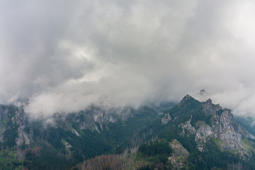 Tatry mountains. Beautiful green forests covered with fog and clouds.