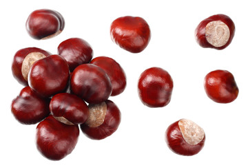 chestnuts isolated on white background. top view