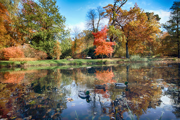 WROCLAW, POLAND - OCTOBER 18, 2019: Szczytnicki Park is situated in the vicinity of the historical...