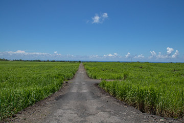 Fototapeta na wymiar crossroad