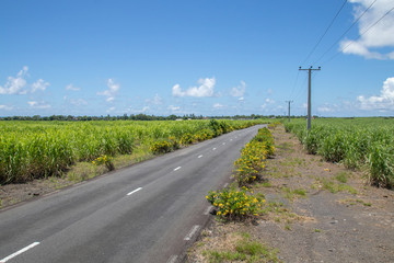 Fototapeta na wymiar Road 