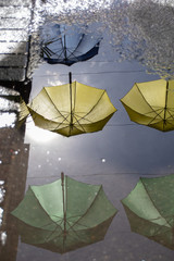 Jellow umbrella reflection