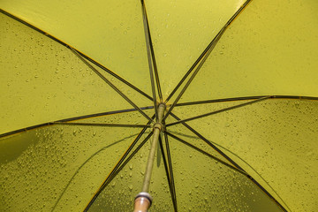 yellow umbrella