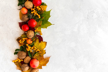 Fototapeta Dekoracja z jabłek, jarzębiny, liści i orzechów na jasnym tle z miejscem na napis obraz